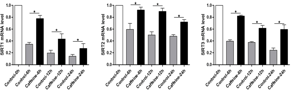 Expression of SIRT1, 2, 3 mRNA in control or caffeine-treated MII oocytes