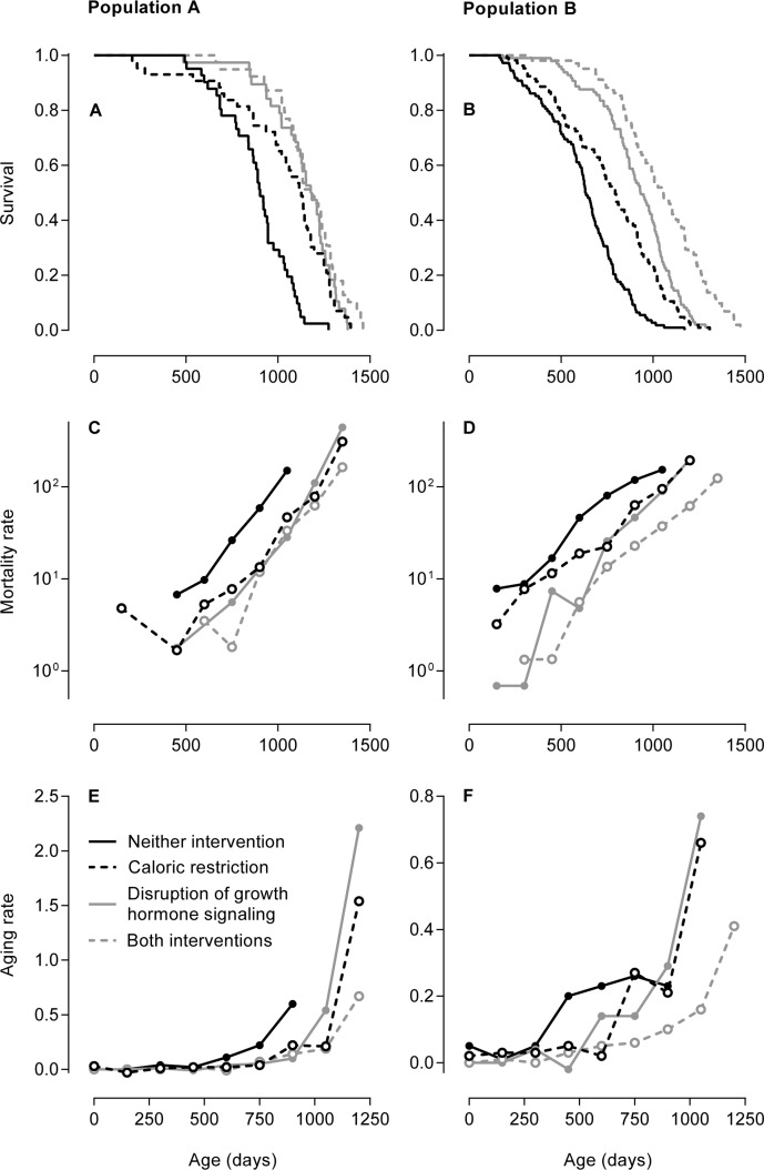 Three methods to examine the effects of caloric restriction and/or genetic disruption of growth hormone signaling on aging in mice