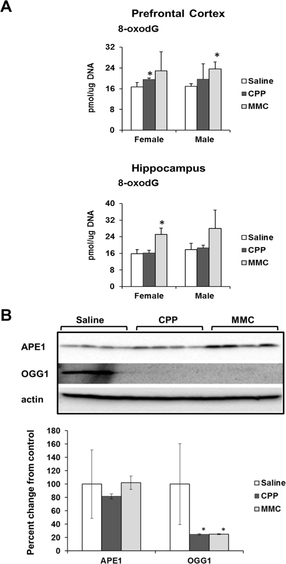 Oxidative DNA damage in the PFC and hippocampus tissues of chemotherapy-exposed animals