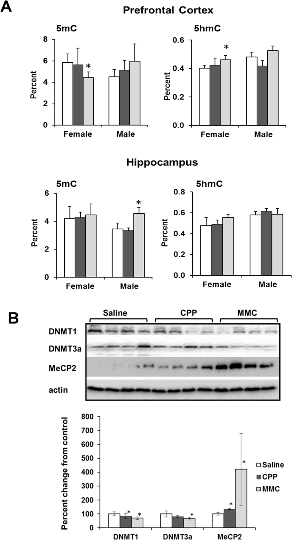 Altered DNA methylation in the PFC and hippocampus tissues of chemotherapy-exposed animals