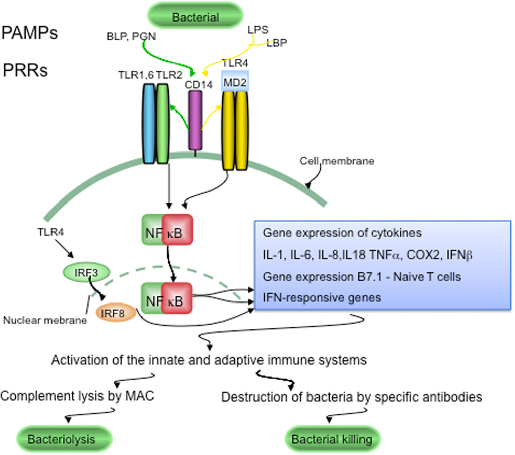 LTR signaling in host defenses against pathogens