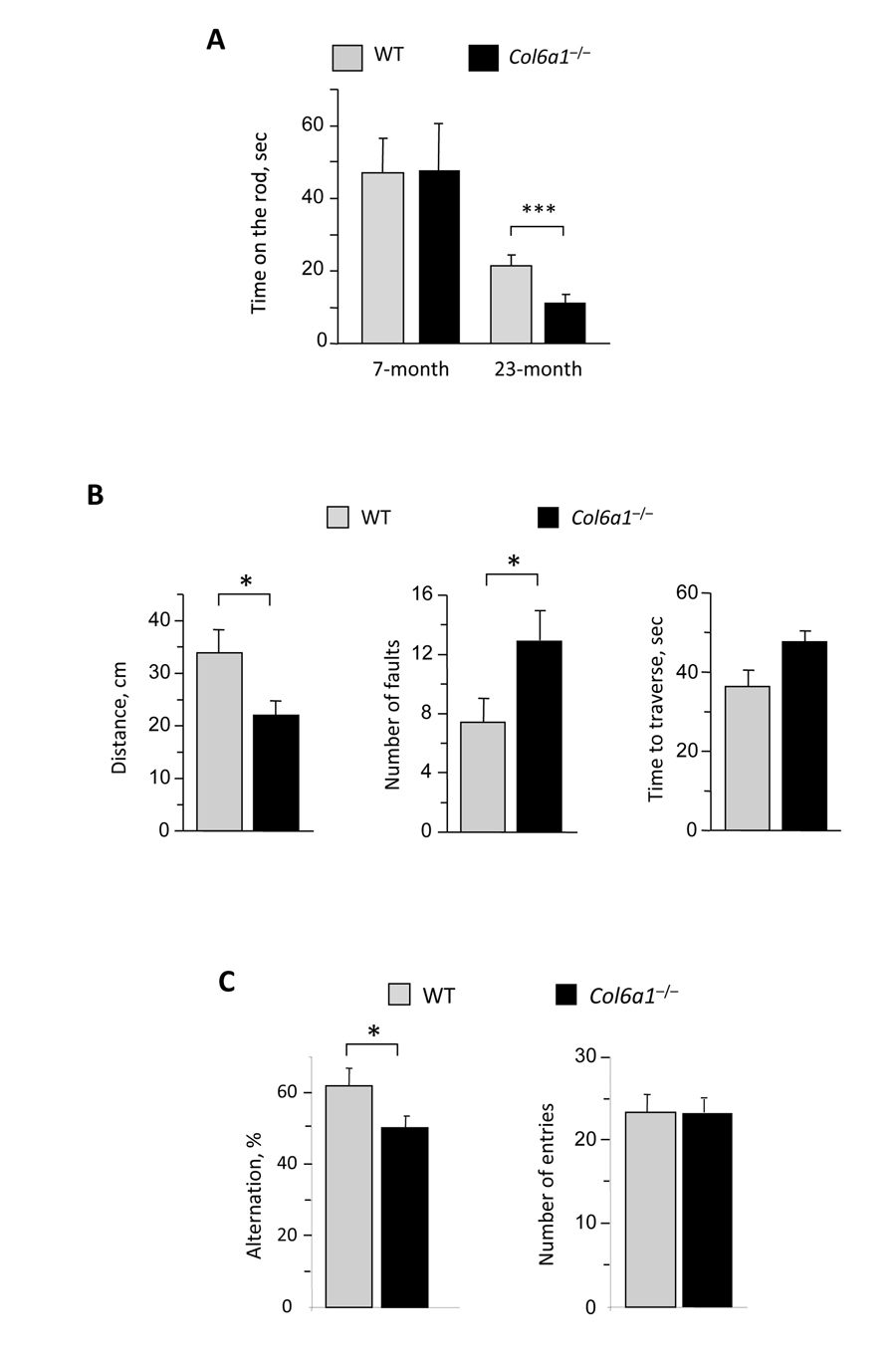 Reduced motor and memory tasks in aged Col6a1−/− mice