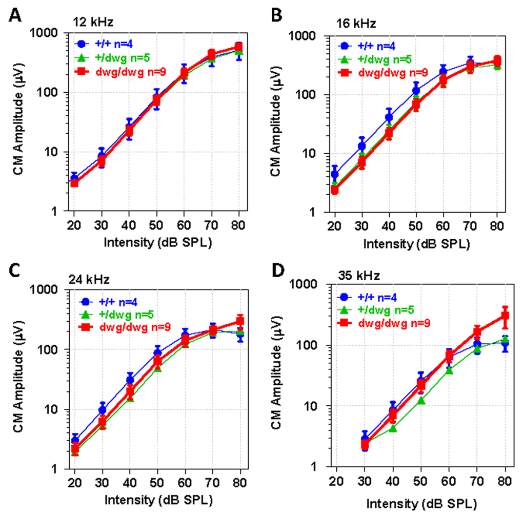 CM potential normal in 6-month-old dwg/dwg mice