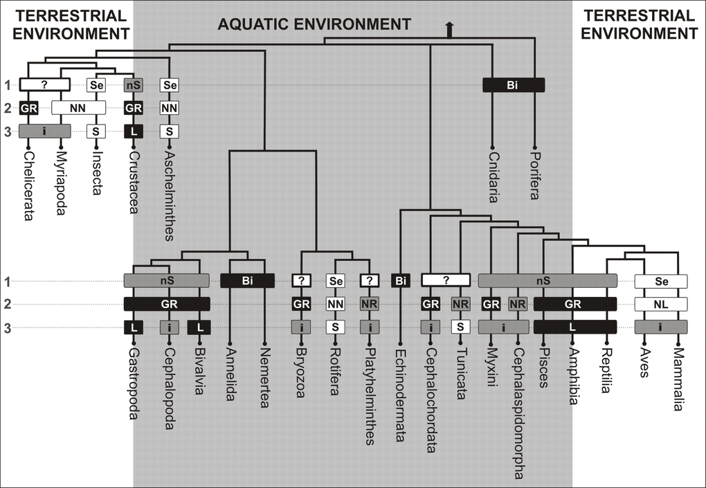 The senescence phenotype types among various animal clades