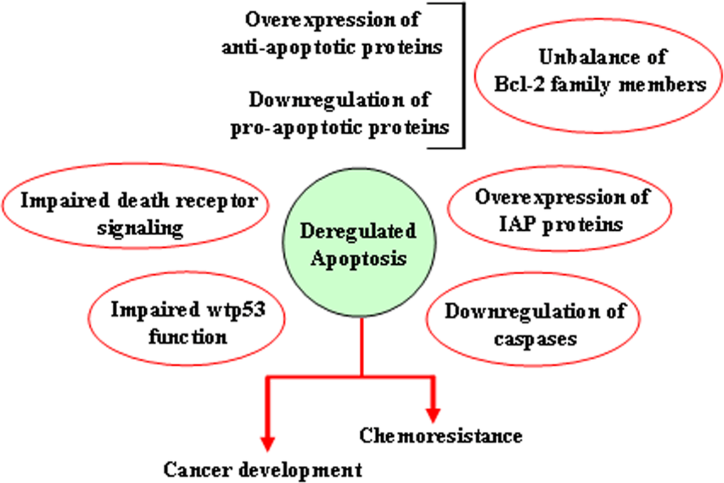 Mechanisms leading to deregulation of apoptosis