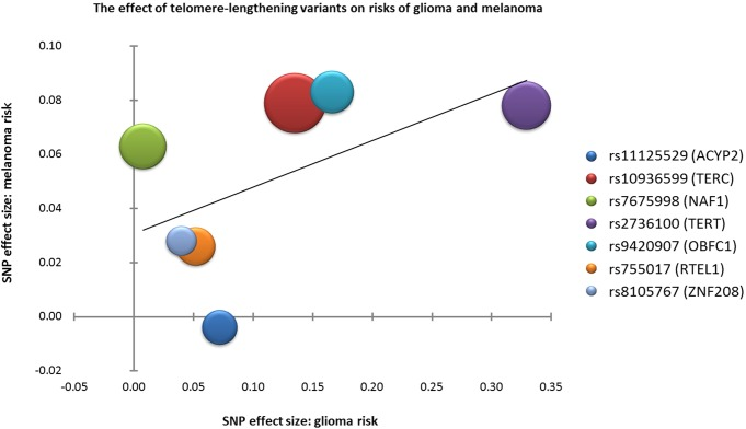The effect of telomere-lengthening variants on the risks of glioma and melanoma