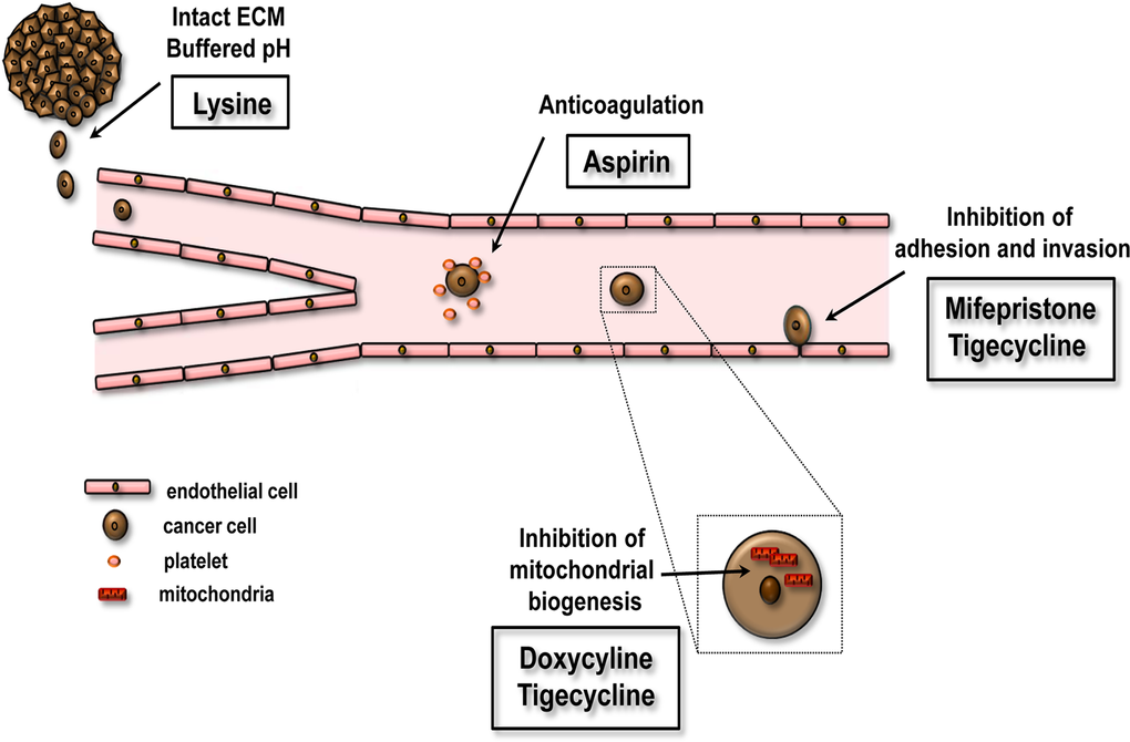 Effects of FDA-approved non-cancer drugs on early events of tumor metastasis