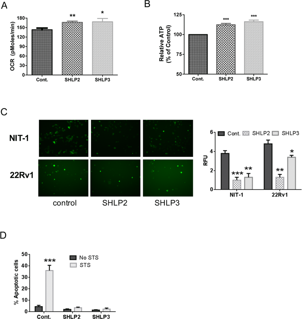 SHLP2 and SHLP3 modulate mitochondrial function