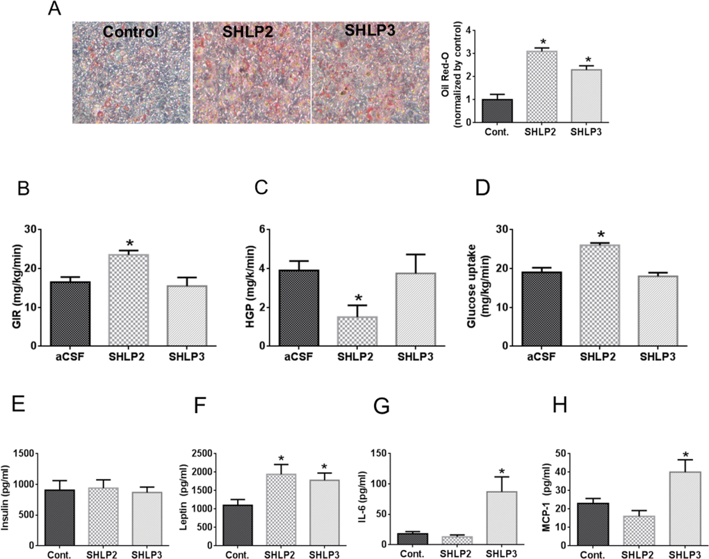 In vitro and in vivo metabolic effects of SHLP2 and SHLP3 on insulin action and pro-inflammatory biomarker expression
