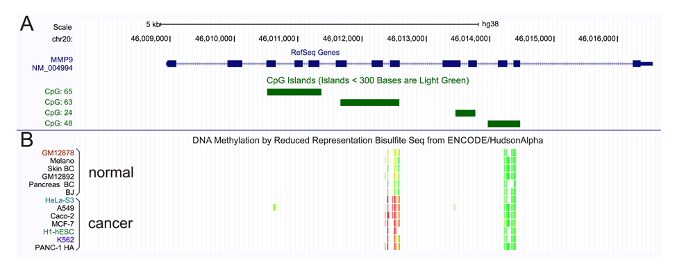 MMP9 methylation pattern