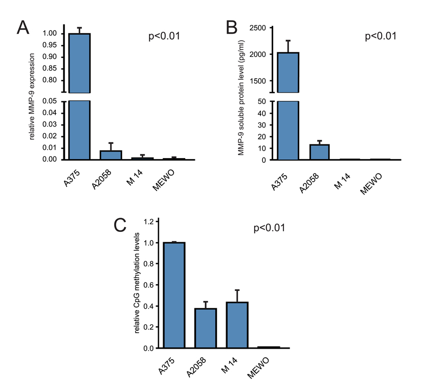 Correlation of MMP-9 CpG-2 hotspot with MMP-9 expression in melanoma cell lines