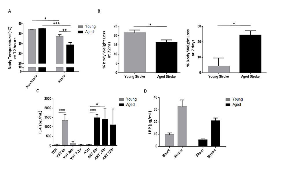 The effects of age and stroke on body temperature, body weight, IL-6 and LBP levels