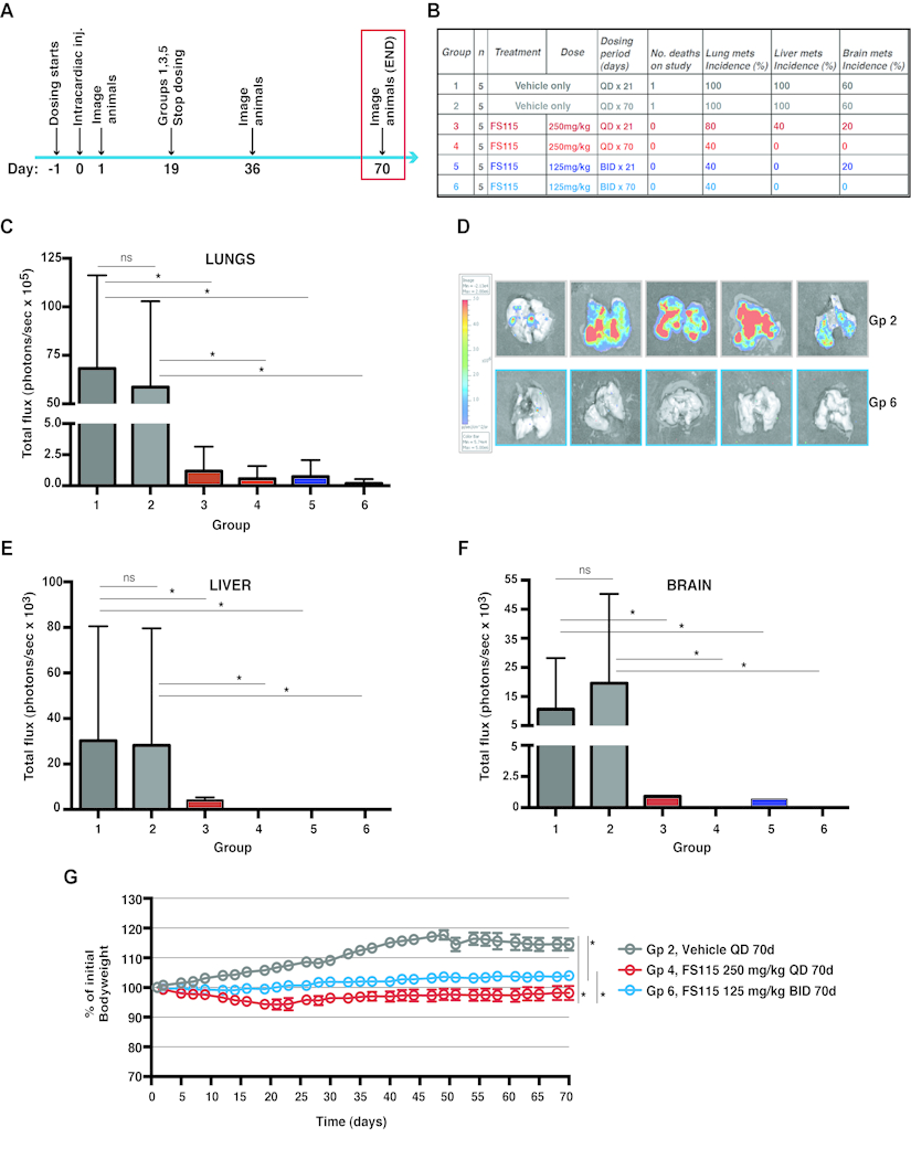 FS-115 is well tolerated and efficiently counteracts metastatic spread to distant organs