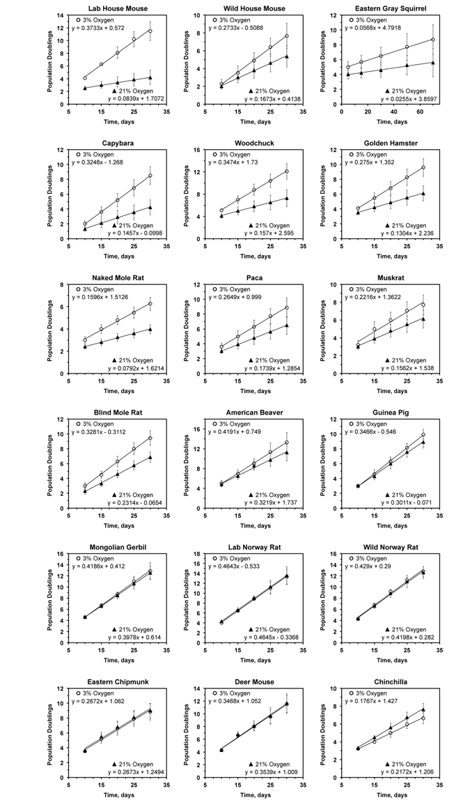 Growth rate of primary rodent fibroblasts in 3% and 21% oxygen