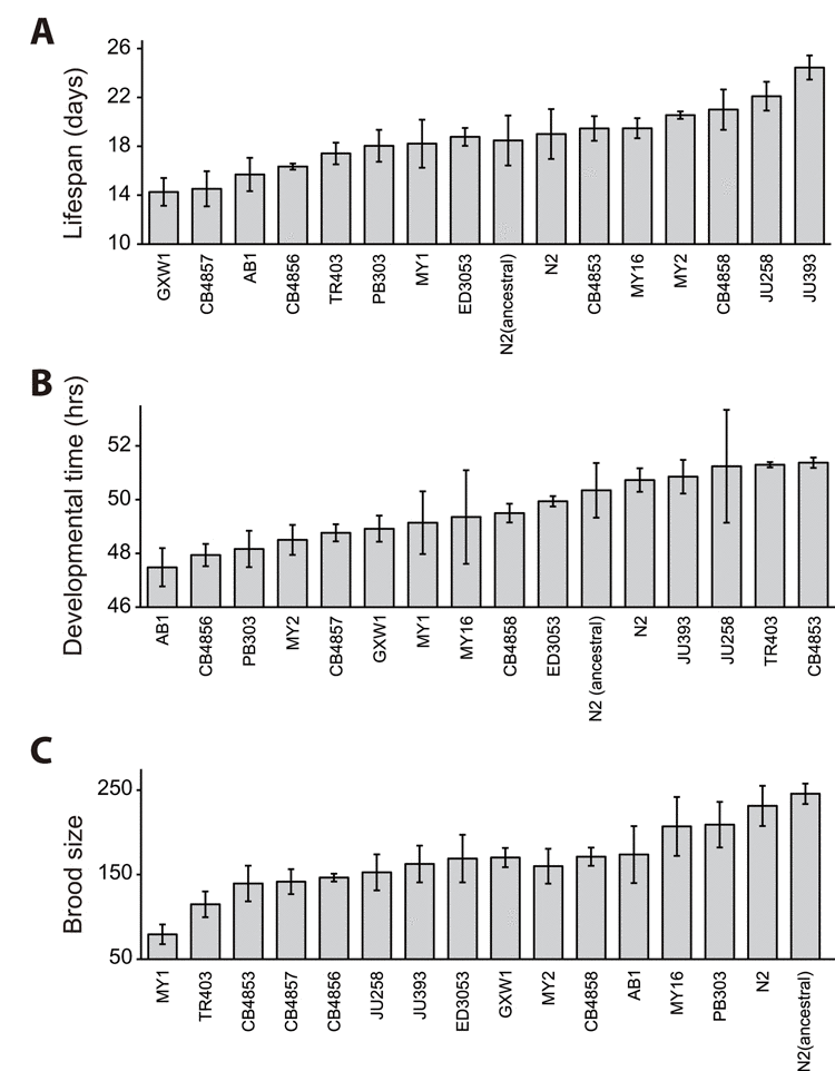 Lifespan, developmental time and total progeny number of wild-derived C. elegans strains