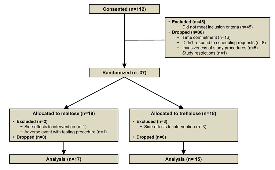 Study flow diagram