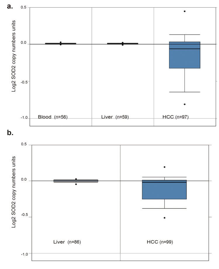 SOD2 DNA copy number is decreased in primary human HCC tissues