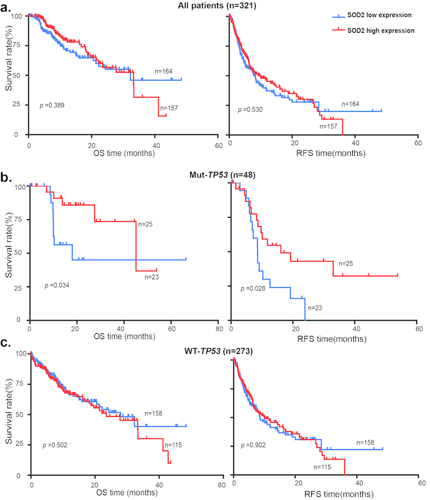 Low SOD2 mRNA expression is associated with poor survival in HCC patients with p53 mutations