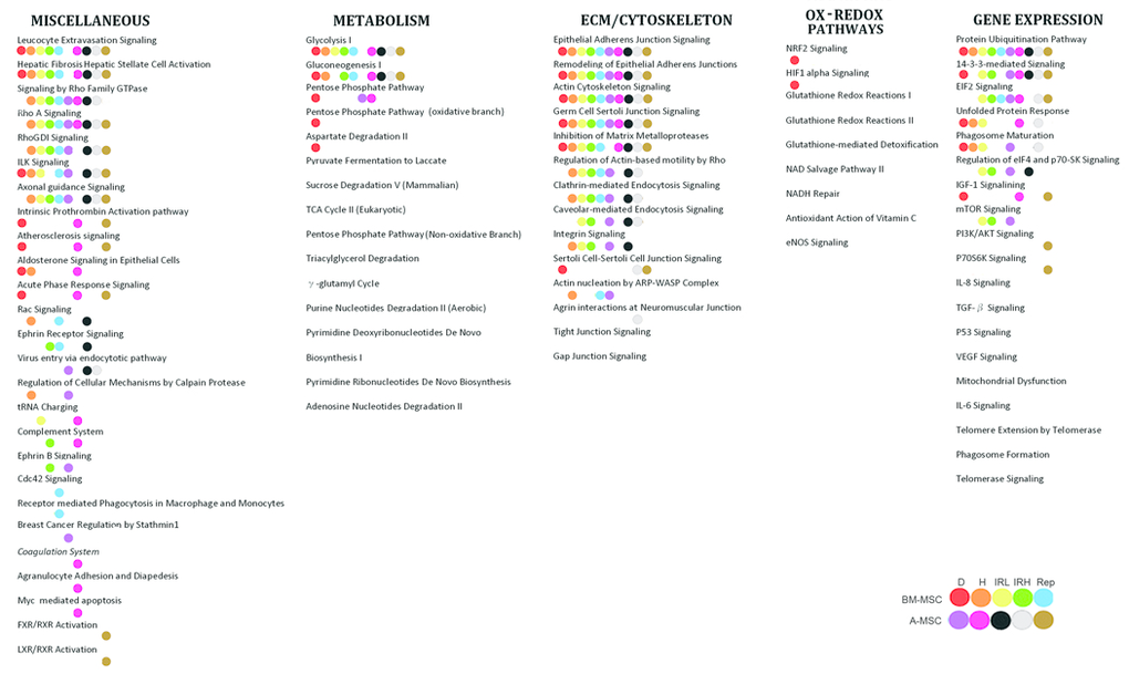 Common canonical pathways