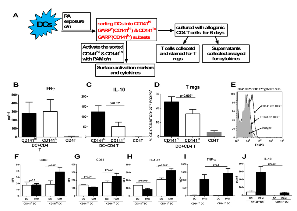 Expression of CD141 and GARP on DCs renders them tolerogenic enhancing their capacity to induce T regulatory cells