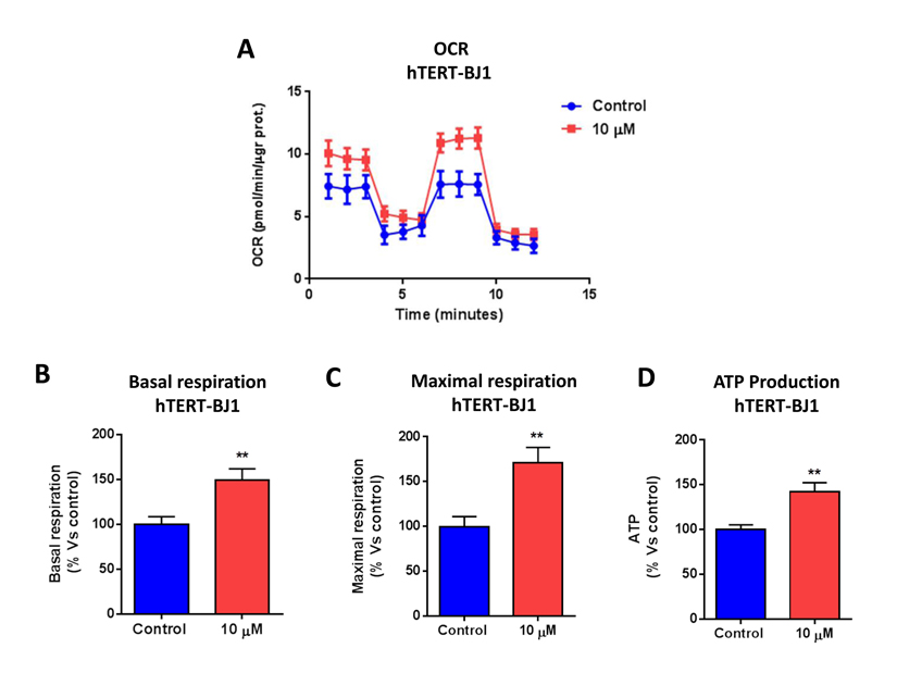 Bedaquiline augments oxygen consumption in normal human fibroblasts