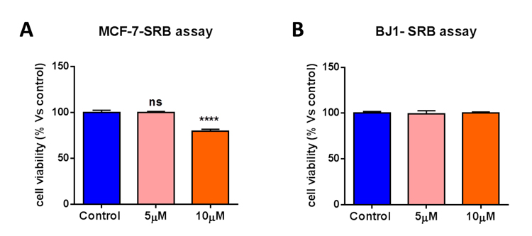 Bedaquiline has little or no effect on the viability of MCF7 cancer cells and normal human fibroblasts