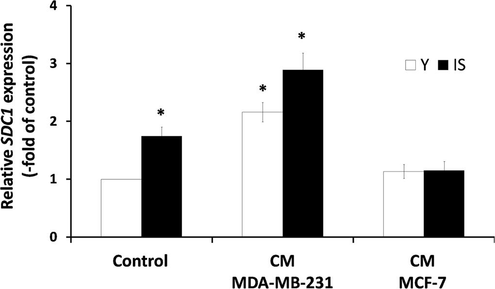 Invasive human breast cancer cells MDA-MB-231 enhance SDC1 expression in stromal fibroblasts in a paracrine mode