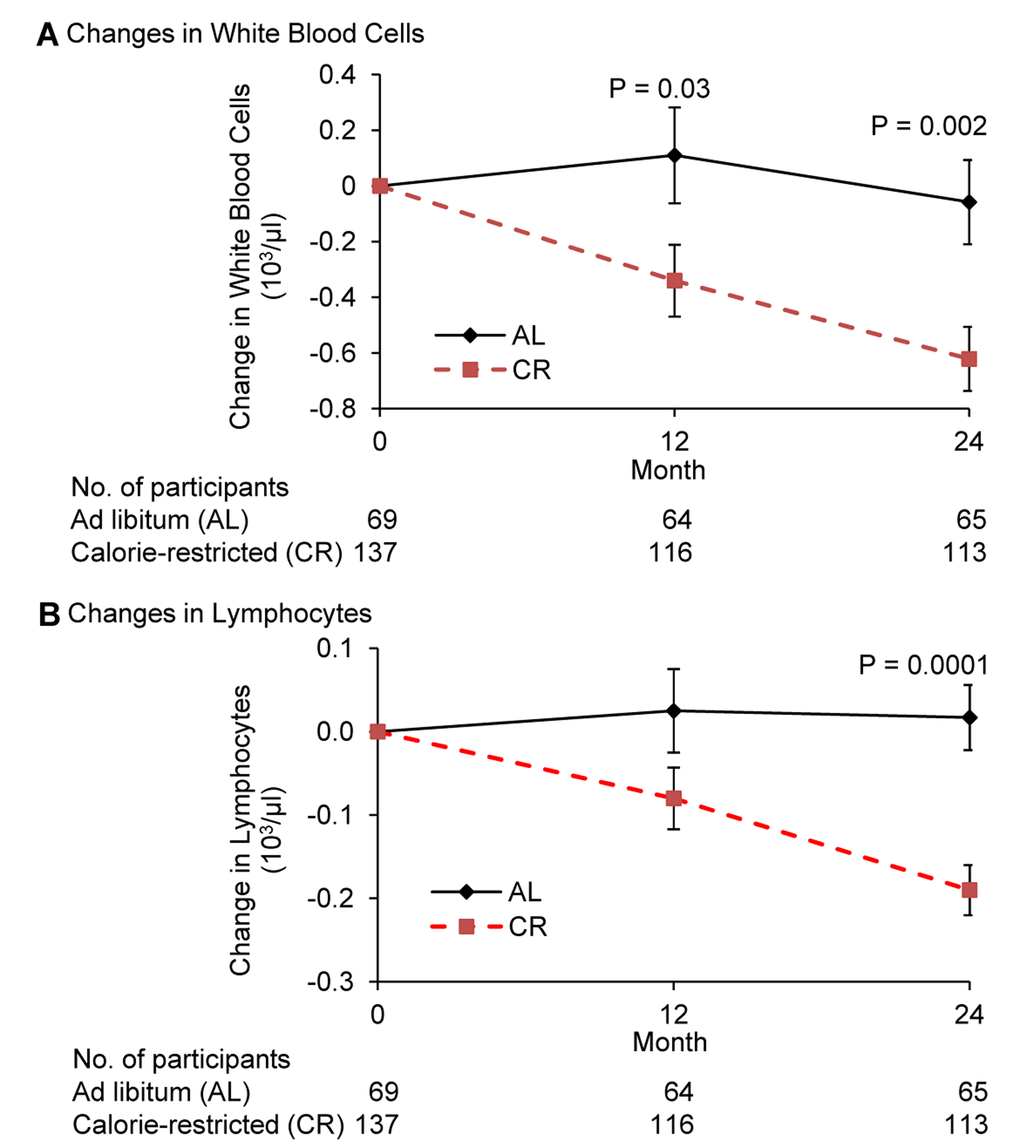 Change in the number of white blood cells and lymphocytes following 2 years of calorie restriction in humans