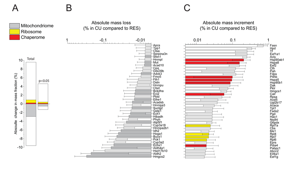 Net changes in protein masses between CU and RES. (A) Sum of relative mass gains and losses in CU as compared to RES. Left: only proteins with significant (PB) Net absolute mass losses of the 40 most depleted proteins in CU. (C) Net absolute mass gains of the 40 most accumulated proteins in CU. Grey, mitochondrial proteins. Red: chaperome proteins. Yellow: ribosomal proteins. White: others.