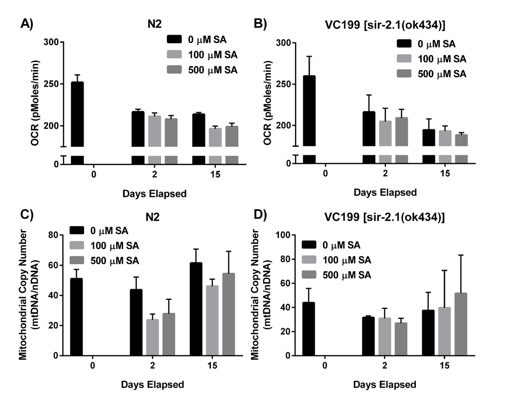 SIR-2.1 preservation does not affect mitochondrial function. (A, B) SA administration does not alter oxygen consumption rate (OCR). OCR of N2 WT and SIR-2.1 mutation in the presence and absence of SA was measured over time via XF Seahorse Biosciences Analyzer™. Data are expressed as means ± SEM from four independent experiments. P = 0.1 and P = 0.3, respectively. (C, D) SA treatment does not alter mtDNA integrity. Analysis of mtDNA content collected over time from lysates of SA-treated N2 WT and SIR-2.1 mutant animals. Data are expressed as means ± SEM from four independent experiments. P = 0.1 and P = 0.6, respectively.