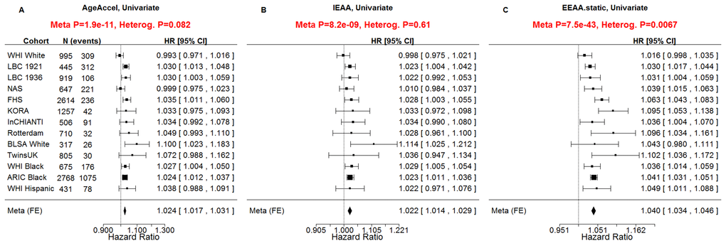 Univariate Cox regression meta-analysis of all-cause mortality. A univariate Cox regression model was used to relate the censored survival time (time to all-cause mortality) to A) the universal measure of age acceleration (AgeAccel), B) intrinsic epigenetic age acceleration (IEAA), C) extrinsic epigenetic age acceleration (EEAA). The rows correspond to the different cohorts. Each row depicts the hazard ratio and a 95% confidence interval. The coefficient estimates from the respective studies were meta-analyzed using a fixed-effect model weighted by inverse variance (implemented in the metafor R package [34]). It is not appropriate to compare the hazard ratios and confidence intervals of the different measures directly because the measures have different scales/distributions. However, it is appropriate to compare the meta analysis p values (red sub-title of each plot). The p-value of the heterogeneity test (Cochran's Q-test) is significant if the cohort-specific estimates differed substantially.