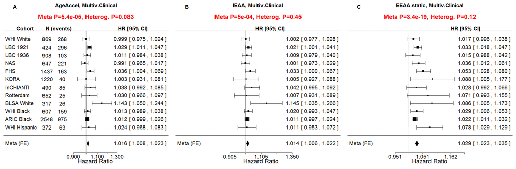 Multivariate Cox regression meta-analysis adjusted for clinical covariates. A multivariate Cox regression model was used to relate the censored survival time (time to all-cause mortality) to A) the universal measure of age acceleration (AgeAccel), B) intrinsic epigenetic age acceleration (IEAA), C) extrinsic epigenetic age acceleration (EEAA). The multivariate Cox regression model included the following additional covariates: chronological age, body mass index (category), educational level (category), alcohol intake, smoking pack years, prior history of diabetes, prior history of cancer, hypertension status, recreational physical activity (category). The rows correspond to the different cohorts. Each row depicts the hazard ratio and a 95% confidence interval. The coefficient estimates from the respective studies were meta-analyzed using a fixed-effect model weighted by inverse variance (implemented in the metafor R package [34]). The sub-title of each plot reports the meta-analysis p-value and a heterogeneity test p-value (Cochran's Q-test).