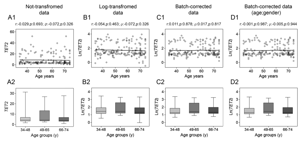 Age-related changes of TET2 mRNA levels in PBMC. Upper panels show scatter plots representing the linear correlation between TET2 mRNA levels and age in PBMC calculated from (A1) non-transformed TET2 data, (B1) log-transformed TET2 data, (C1) batch-corrected TET2 data, (D1) batch-corrected TET2 data retaining age and gender differences. Parametric (Pearson r) and non-parametric (Spearman’s ρ) correlation coefficients and statistical significance are given above each graph. Lower panels show bar graphs reporting the expression levels of TET2 gene in three different age classes calculated from (A2) non-transformed TET2 data, (B2) log-transformed TET2 data, (C2) batch-corrected TET2 data, (D2) batch-corrected TET2 data retaining age and gender differences. Boxplots show the median, the interquartile range (boxes) and the 5–95% data range (whisker caps). Comparisons between groups were performed by the Kruskal-Wallis test followed by post-hoc Bonferroni test. (y)= years.