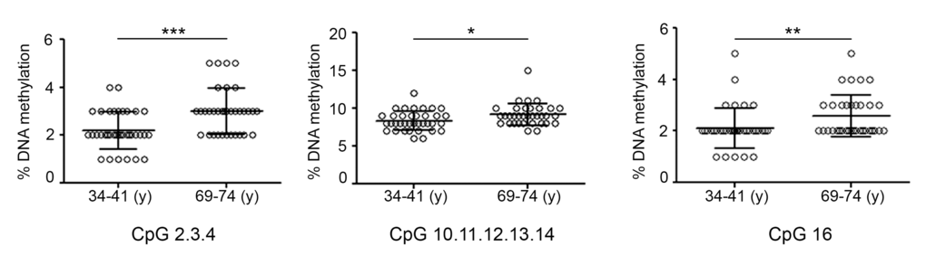 DNA methylation profile of TET1 CGI in aging. Graphs represent the CpGs of TET1 CGI analyzed by the epiTYPER assay and show the difference in DNA methylation between the groups of young (34-41) and old (69-74) individuals. Statistical significance was obtained by the Mann-Whitney test (*P 