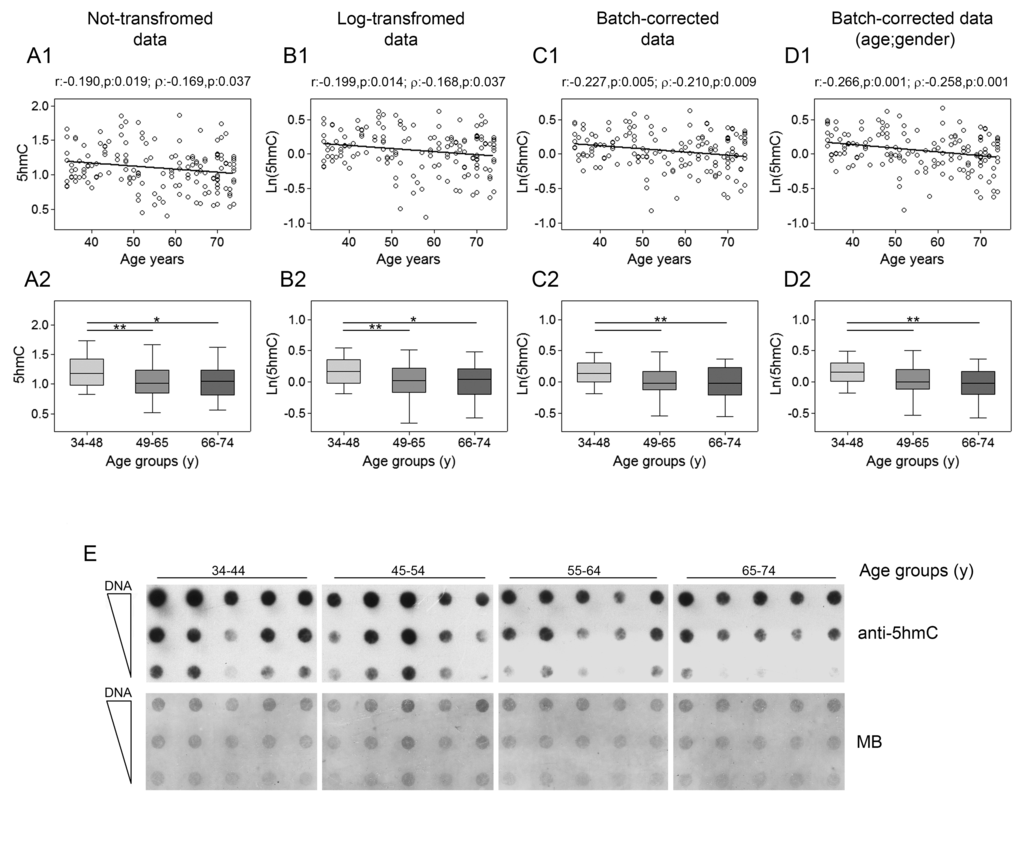 Age-related changes of 5hmC levels in PBMC. Upper panels show scatter plots representing the linear correlation between 5hmc levels and age in PBMC calculated from (A1) non-transformed 5hmC data, (B1) log-transformed 5hmC data, (C1) batch-corrected 5hmC data, (D1) batch-corrected 5hmC data retaining age and gender differences. Parametric (Pearson r) and non-parametric (Spearman’s ρ) correlation coefficients and statistical significance are given above each graph. Lower panels show bar graphs reporting the levels of 5hmC in three different age classes calculated from (A2) non-transformed 5hmC data, (B2) log-transformed 5hmC data, (C2) batch-corrected 5hmC data, (D2) batch-corrected 5hmC data retaining age and gender differences. Boxplots show the median, the interquartile range (boxes) and the 5–95% data range (whisker caps). Comparisons between groups were performed by the Kruskal-Wallis test followed by the post-hoc Bonferroni test (*P E) Representative dot blot performed on DNA from 20 individuals by using anti-5hmC antibody and methylene blue (MB) staining to control DNA loading. (y)= years.