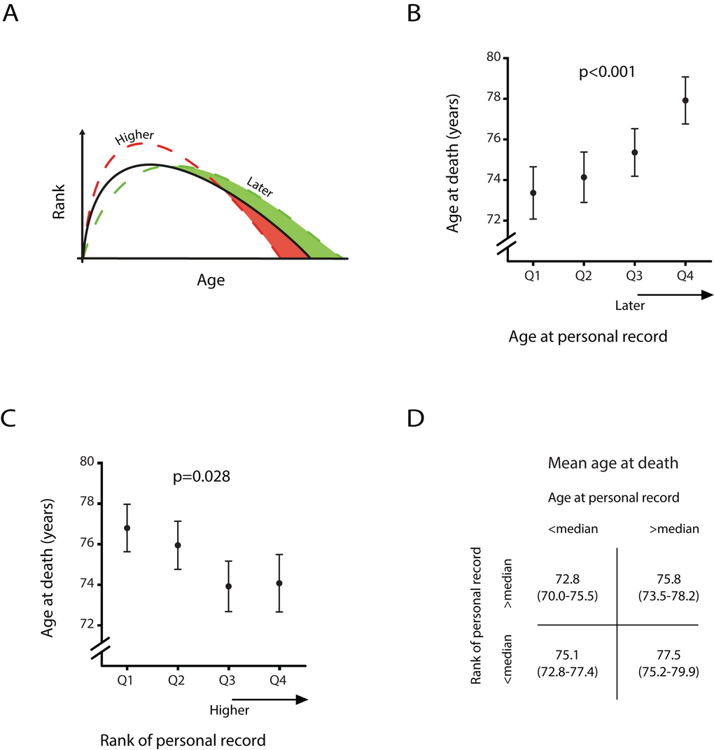 Age at death of male athletes dependent on the age and rank of their personal record (A) Predicted scenarios by life history theory with a later age at personal record and a higher performance score of personal record. (B) Estimated mean age at death per quartile of age at personal record and (C) estimated mean age at death per quartile of performance score of personal record. Error bars denote one standard error. (D) Estimated mean age at death and between brackets the corresponding 95% confidence interval shown for four different groups. All estimates are derived from a linear mixed model with only males who died after age 50, adjusted for sex, year of birth, nationality and respectively rank of personal record or age at personal record.