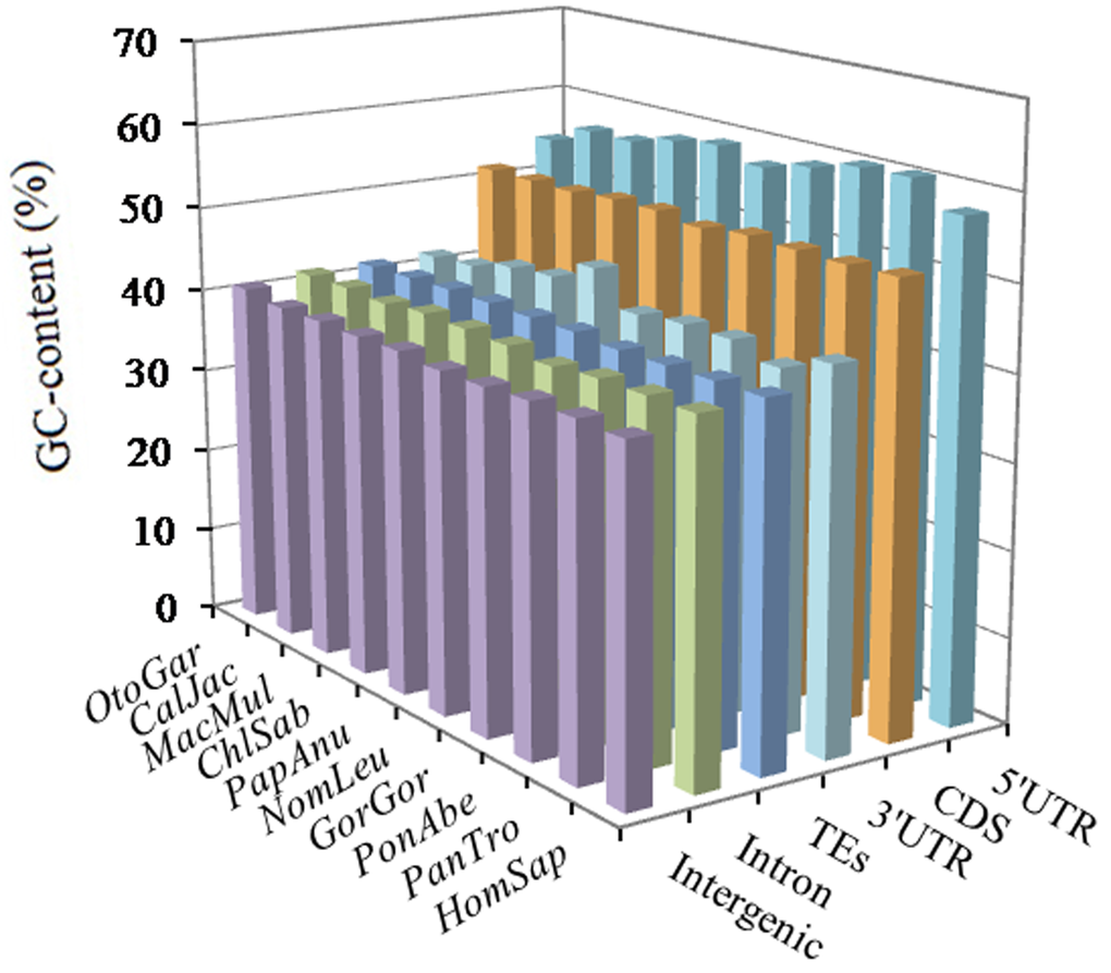 GC-content of different intragenic and intergenic regions in ten primates.