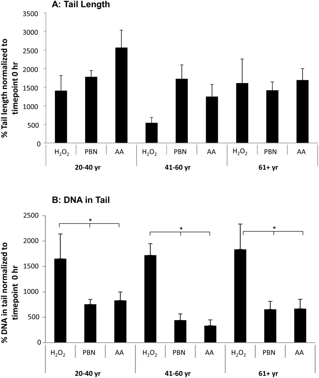 PBN and AA reduce DNA damage in H2O2-treated ADSCs. ADSCs from young, middle-aged, and older sources were preincubated for 24 hours with either PBN or AA and then treated with H2O2 for 30 minutes. (A) ADSCs preincubated with either PBN or AA displayed comparable % tail lengths to the controls, which were treated with H2O2 alone and not preincubated with PBN or AA. (B) ADSCs preincubated with either PBN or AA showed a significant reduction in % tail DNA compared to the controls. This was true for ADSCs derived from each age group. * indicates p 