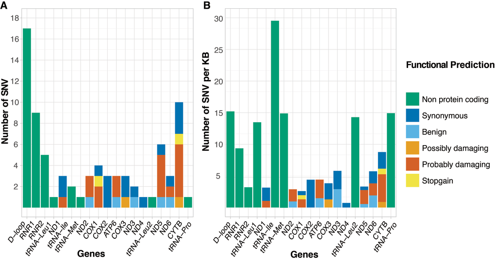 Number of somatic single nucleotide variants (SNVs) distributed over the gene, control and non-protein coding regions of the mitochondrial genome, defined as (A) absolute number of SNVs and (B) number of SNVs scaled by region length (SNVs per 1000 bases). Genes/regions are represented in order of appearance on the mitochondrial genome, with genes colored by functional prediction of SNV.