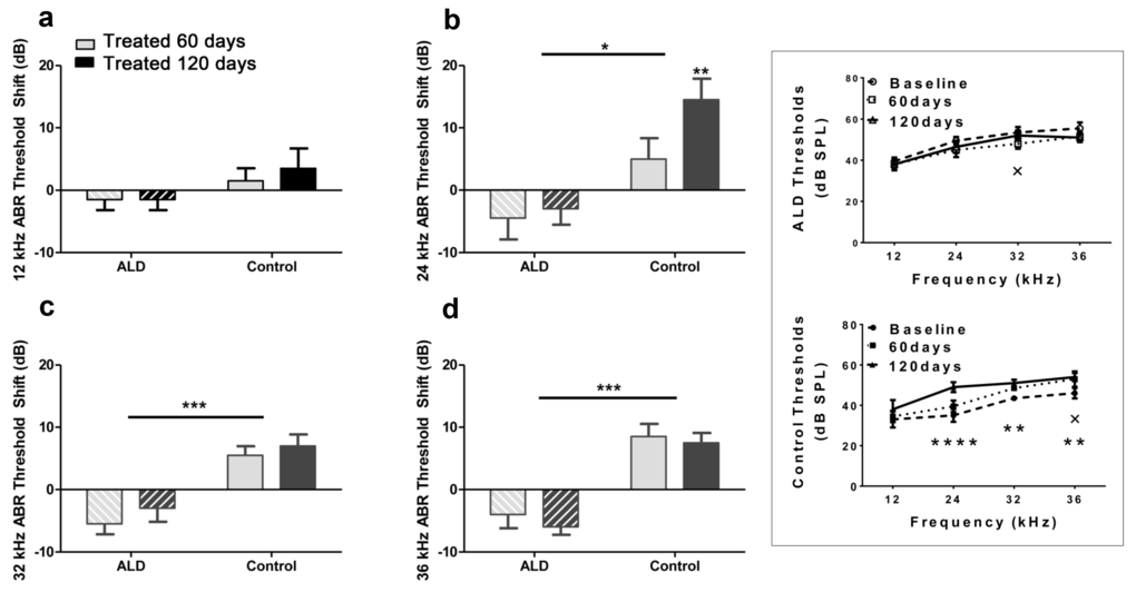 ABR threshold shifts (dB) for treated and untreated (control) subject groups following 60 and 120 days of treatment. 12 kHz (a), 24 kHz (b), 32 kHz (c) and 36 kHz (d). Mean (±SEM) frequency-specific ABR threshold shifts in the treatment group (n = 5) on days 60 and 120 compared to the control group (n=5) values, showed improved hearing sensitivity for all four test frequencies, with the greatest benefit at the higher frequencies. “0” on the ordinate represents the baseline (pre-treatment) ABR thresholds. So, negative threshold shifts represent improvements in hearing with time in the ALD treatment group, while positive shifts indicate age-related ABR threshold elevations in the control group. (e) ABR audiogram data upon which 1a – 1d are based. Top: Very little change in auditory sensitivity occurs in the ALD treated mice. Bottom: The control mice show typical age-related hearing loss threshold elevations over the 4-month treatment period. Graphs show means (±SEM); solid line is the pre-treatment baseline ABR audiogram; the dotted line is for 60 days, and the dashed line is for 120 days of treatment. ANOVA: +p