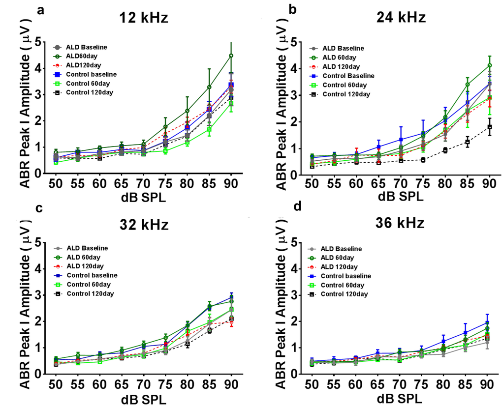 ABR Peak 1 amplitude changes (µV) as a function of sound intensity, for treated and untreated (control) subject groups, following 60 and 120 days of treatment. 12 kHz (a), 24 kHz (b), 32 kHz (c) and 36 kHz (d). Note that the ALD treatment ABR levels tend to be above the control levels at 60 and 120 days of treatment, especially at the higher intensities, and for 12 and 24 kHz. Also, the control levels at the 120 day time point tend to be the lowest of all, due to the normal progression of age-related hearing loss. Quantification of these relative improvements in the ALD treatment groups for 80 dB SPL are given in the next Figure. Error bars are SEM.