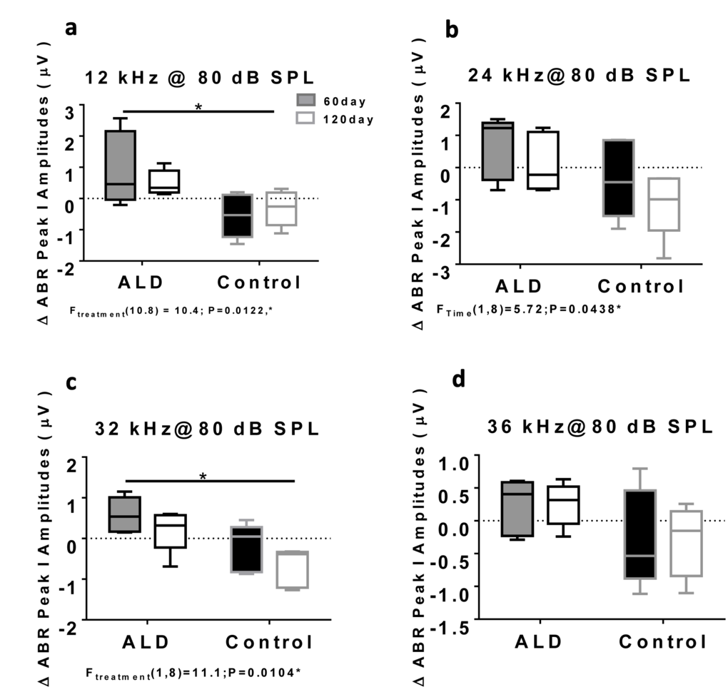 ABR Peak 1 amplitude changes (µV) at 80 dB SPL, for treated and untreated (control) subject groups, following 60 and 120 days of treatment. 12 kHz (a), 24 kHz (b), 32 kHz (c) and 36 kHz (d). Box plots (median, 1st & 3rd quartiles, whiskers: minimum & maximum) of frequency-specific ABR P1 amplitude changes in the treatment group (n = 5) on days 60 and 120 compared to the control group (n=5) values, showed improved hearing, i.e., increased ABR amplitudes, for all four test frequencies, with the greater benefits at the higher intensities. “0” on the ordinate represents the baseline (pre-treatment) ABR amplitude levels. So, positive shifts represent increased excitatory drive with time in the ALD treatment group, while negative shifts indicate age-related ABR level decreases in the control group. ANOVA: *p