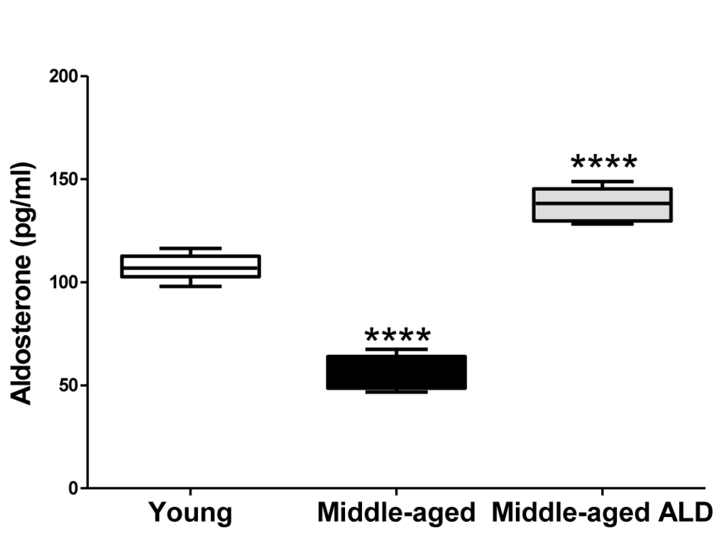 The serum aldosterone levels from young adult and middle age CBA/CaJ mice with or without the aldosterone treatment, 0.0016 mg/day continuous release, subcutaneous pellet through 120 days. The systemic aldosterone treatment restored serum levels to near the normal range for young adults. Graphs show means (±SEM). ANOVA: ****p