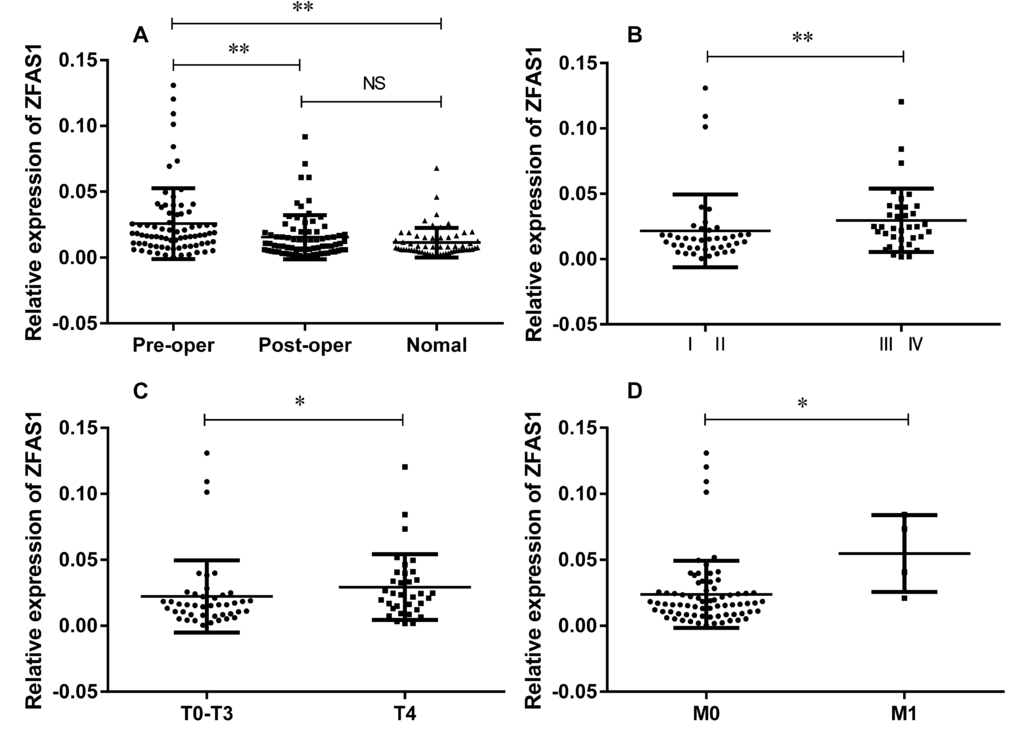 Relative expression level of lncRNA ZFAS1 in 77 paired GC plasmas and 60 healthy controls. (A) ZFAS1 was highly expressed in GC patients compared to healthy controls (P P B-D) ZFAS1 was highly expressed in patients with high TNM stage (B), depth invasion (C), and distant metastasis (D). The relative expression level was calculated using 2-ΔCT method. **, P P A) and Mann-Whitney U test (B,C,D and E).