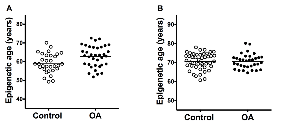 Comparison of epigenetic age in joint tissues from controls and patients with OA. (A) Accelerated aging in OA cartilage samples (n = 31) in comparison with control cartilage (n = 36) with ΔDmAM = 3.7 years (P = 0.008); and (B) no difference (ΔDmAM = 0.04 years, P = 0.3) in bone samples between OA patients (n = 33) and controls (n = 45). Epigenetic ages are represented as age- and sex-adjusted values with horizontal lines for the mean of each group.