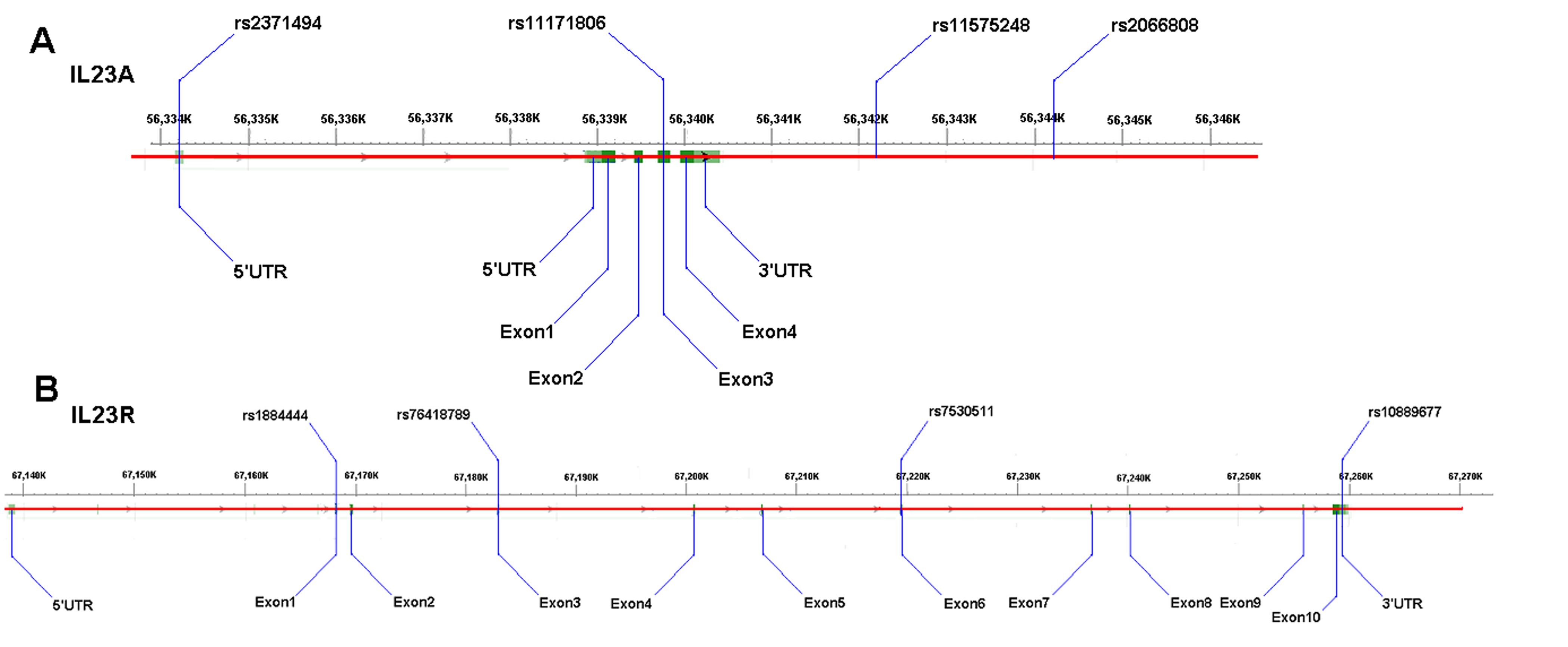 class="figure-viewer-img"