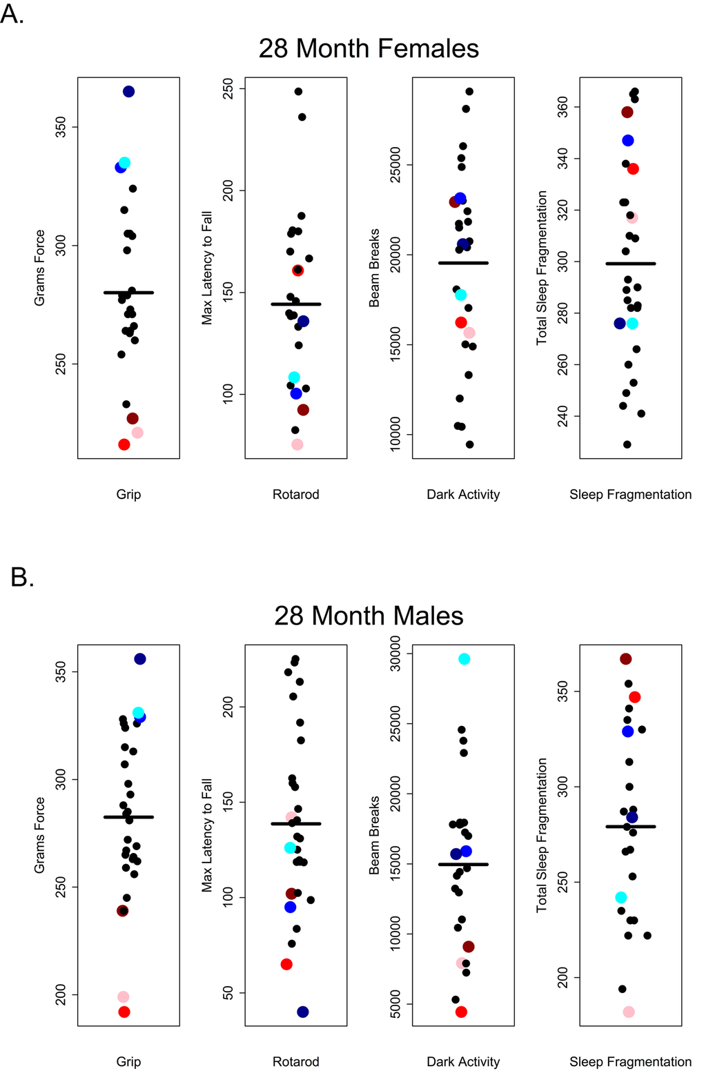 Grip strength does not predict rotarod performance, dark phase activity or sleep fragmentation in 28-month-old mice. Visual representation of the relative performance on four healthspan measures by 28-month-old mice. Mice performing best (blue symbols) and worst (red symbols) on the grip strength test, did not perform similarly on other measures of healthspan in females (A) and males (B). Correlations and p-values are in Tables 2 and 3.