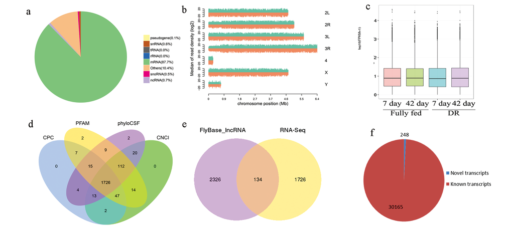 Overall expression profile in RNA-seq. (a) mapping to fruit fly genome; (b) reads density in chromosomes; (c) FPKM distribution of mRNA and lncRNA; (d) 1726 novel lncRNAs were obtained after four programs filtering; e, when compared to 2460 known lncRNAs sequences in FlyBase (Dmel