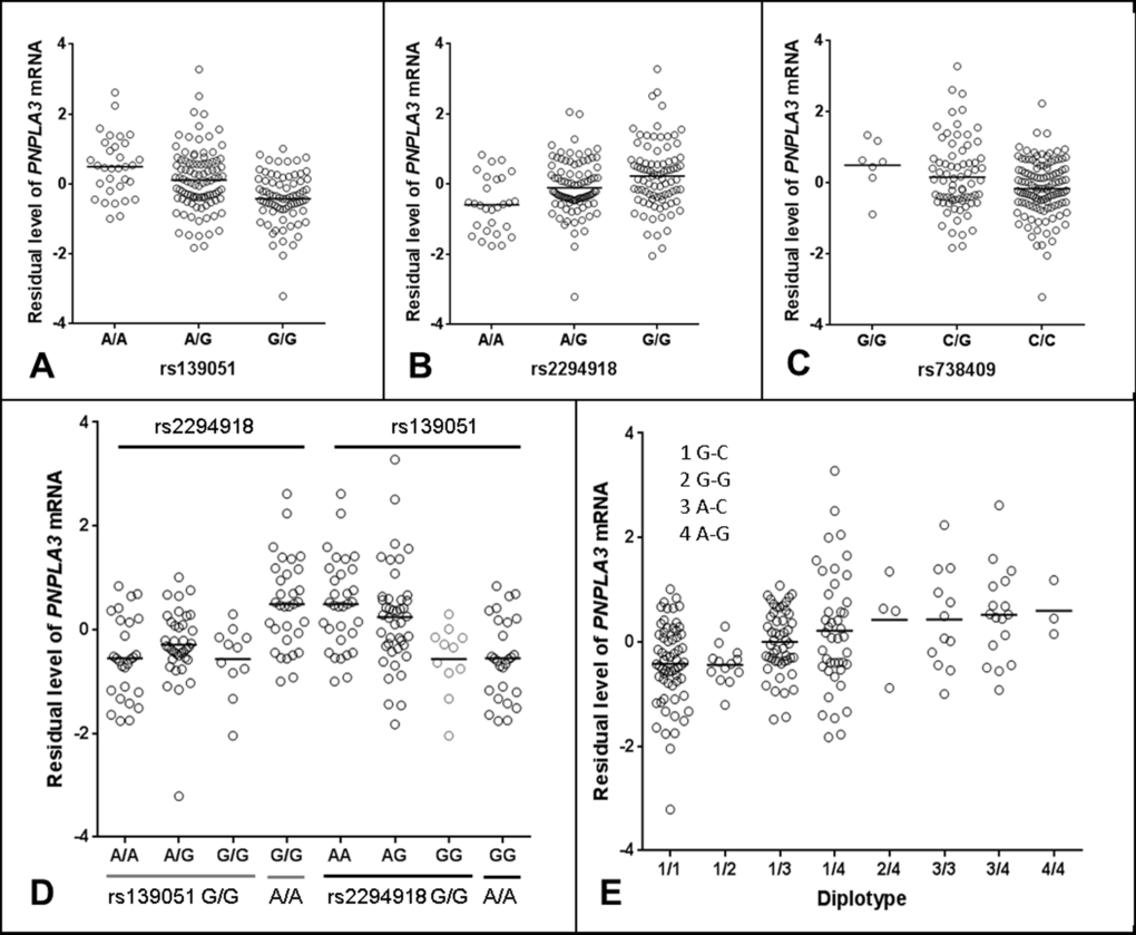 Regulatory role of rs139051 in PNPLA3 mRNA expression in human liver. (A-C) Correlations between rs139051 (p = 6.6×10-8, FDR p = 2.4×10-7, FDR p = 0.04, FDR > 0.05) genotypes and PNPLA3 gene expression. (D) The dependence of rs139051 and rs2294918 in association with PNPLA3 expression. No significant difference in gene expression between rs2294918 genotypes among the rs139051GG homozygous individuals was observed (ANOVA p = 0.3), while rs139051 was significantly associated with PNPLA3 gene expression among the GG homozygous individuals at the rs2294918 locus (ANOVA p = 0.006). (E) Association between rs139051-rs738409 diplotypes and gene expression. Significant difference was observed when compared 1/1 to 1/3, 1/4, 3/3 or 3/4 (t-test, p p p > 0.05 for all tests). Horizontal bars indicate the mean values of mRNA expression.