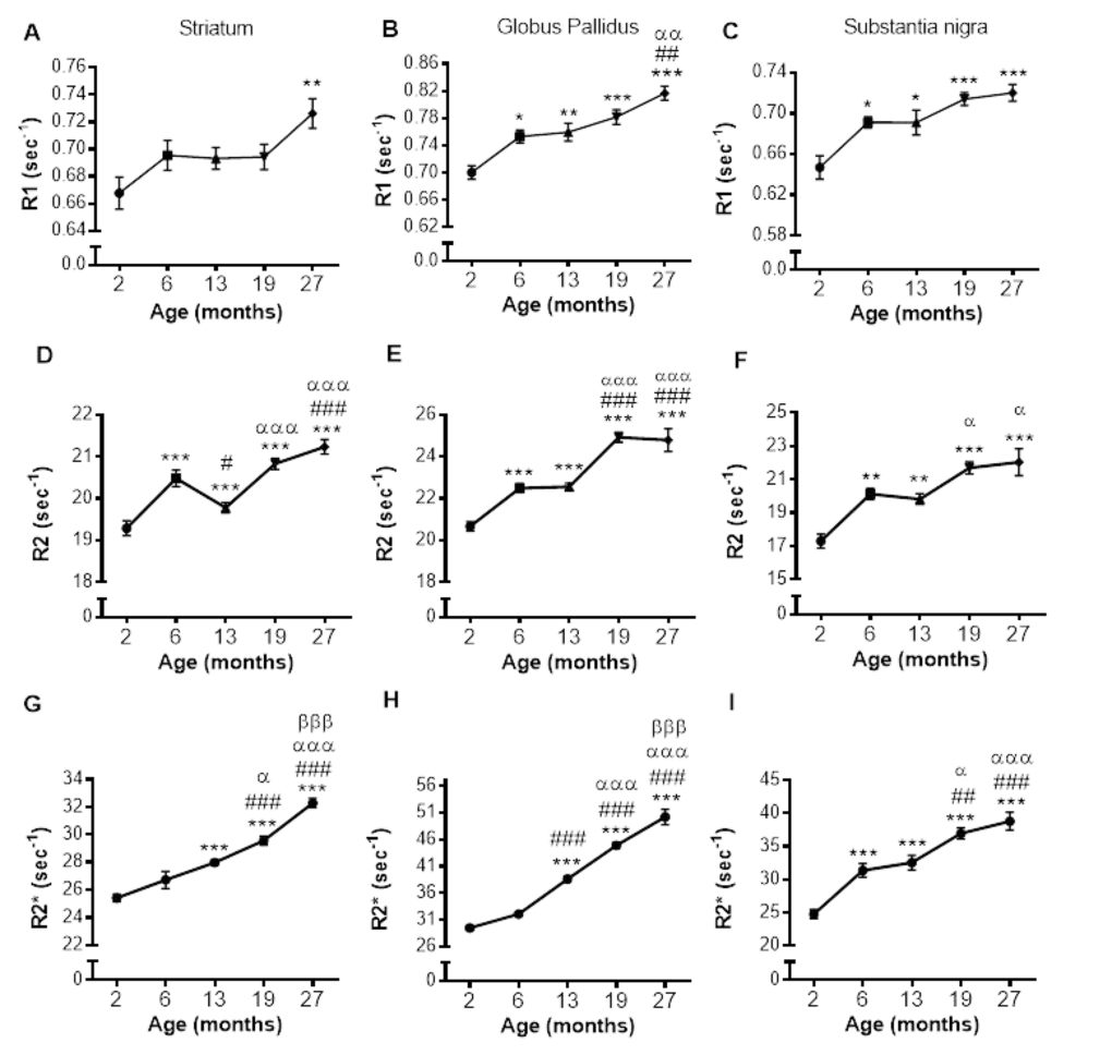 Alterations in R1 (A-C), R2 (D-F) and R2* (G-I) with increasing age in the striatum, globus pallidus and substantia nigra, respectively. Significance level at *, P P  P  P P  P P P P 